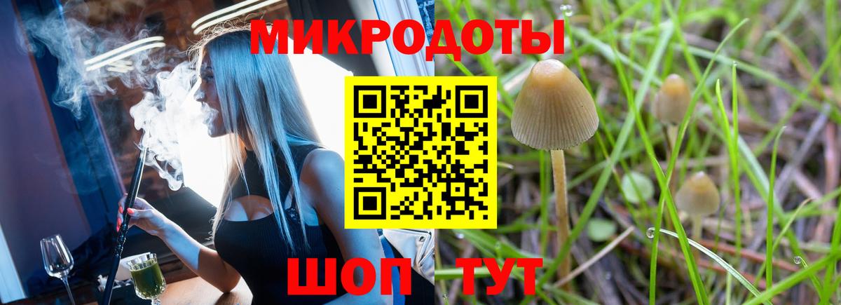 Галлюциногенные грибы MAGIC MUSHROOMS  Вход с VPN  купить закладку  Кизляр 